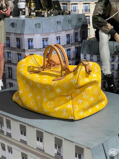 one million bag louis vuitton|Louis Vuitton money bag.